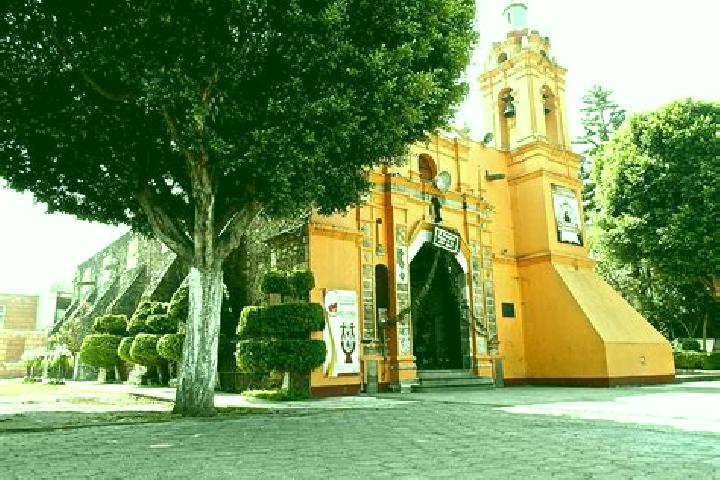 Alice, 34 — Escort in San Francisco Totoltepec, Mexico