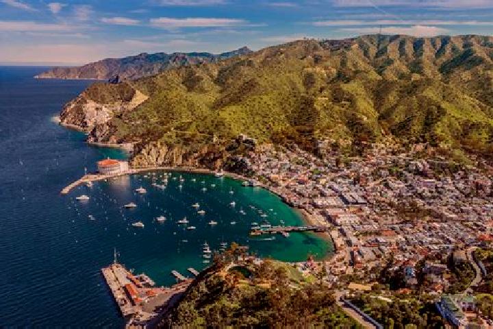 Alice, 34 — Escort in Santa Catalina, Venezuela
