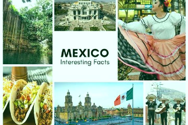 Alice, 34 — Escort in Uspibil, Mexico