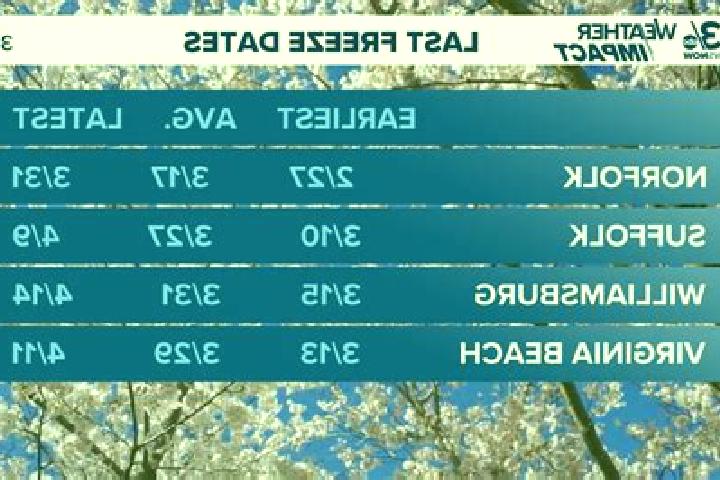 Alice, 35 — Escort in Laddonia, United States