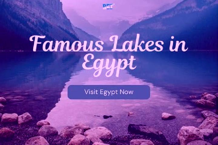 Alice, 35 — Escort in Munuf, Egypt