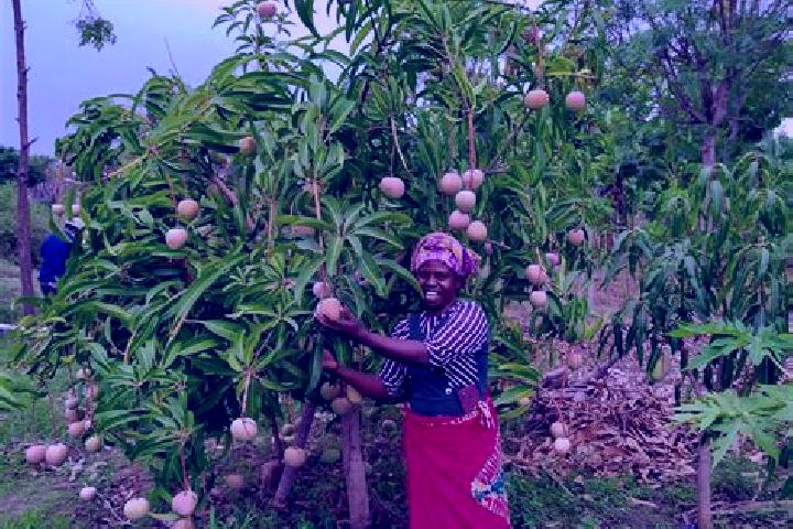 Alice, 36 — Escort in Kitui, Kenya