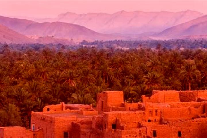 Alice, 36 — Escort in Sabaa Aiyoun, Morocco