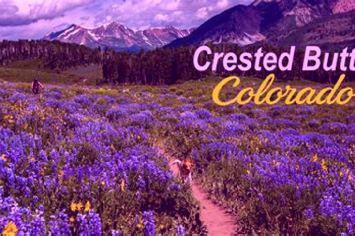 Alice, 37, a blonde brown-eyed european companion based in Mount Crested Butte. Offering Fetish, Couples, Dinner Date, Massage. Available for incall and outc...