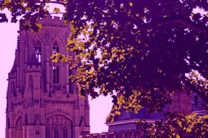 Alice, 37 — Escort in Bristol, United Kingdom