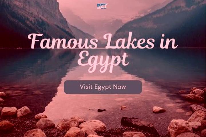 Alice, 37 — Escort in Bush, Egypt