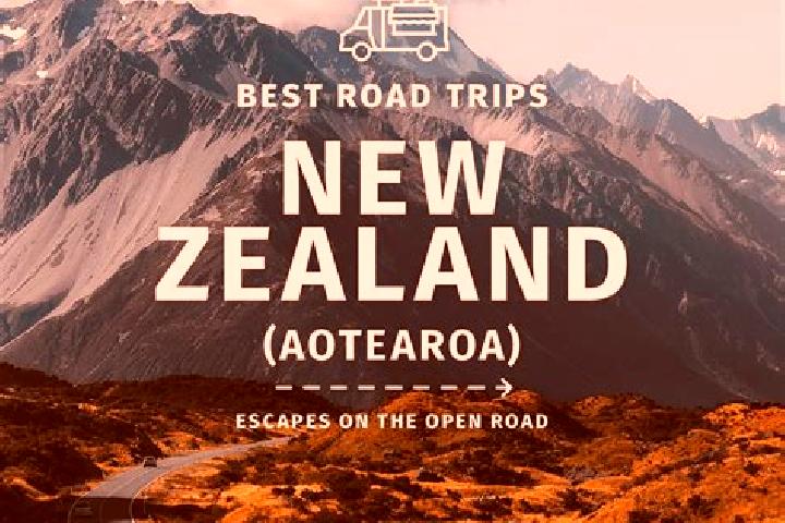 Alice, 37 — Escort in Claudelands, New Zealand