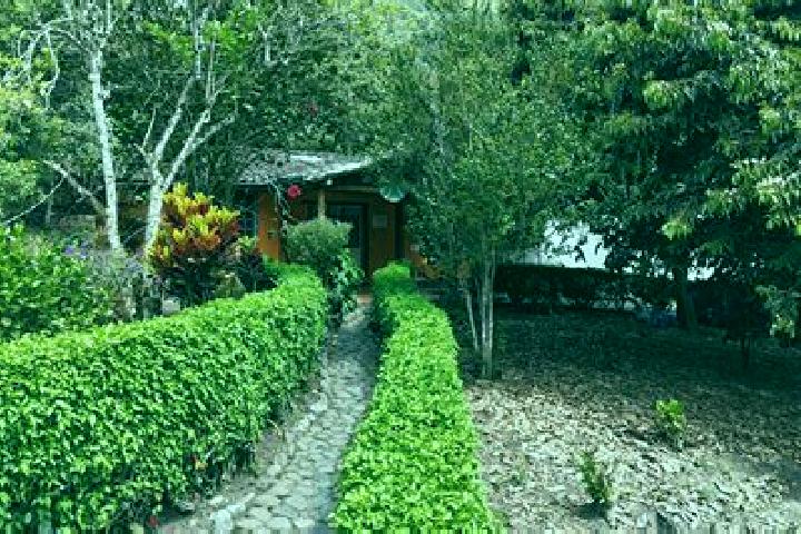 Alice, 37 — Escort in Imantag, Ecuador