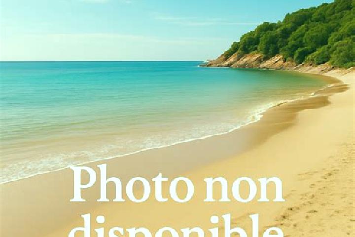 Alice, 37 — Escort in Larmor-Baden, France