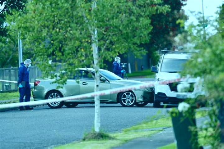 Alice, 37 — Escort in Manurewa, New Zealand