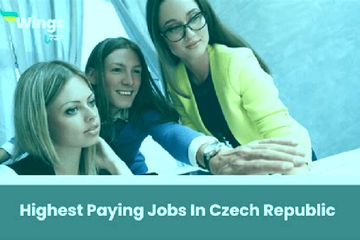 Alice, 37 — Escort in Rybitvi, Czech Republic