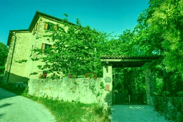 Alice, 37 — Escort in Secchiano, Italy