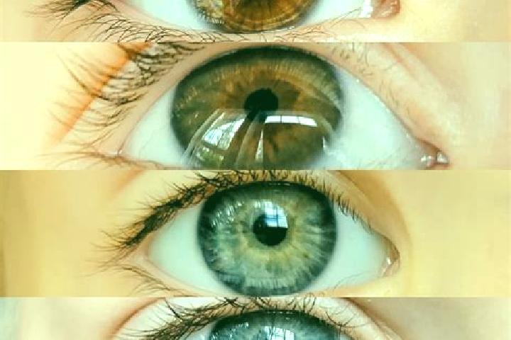 Alice, 38, a chestnut grey-eyed mixed companion based in Greiling. Offering Tantra, Duos, Overnight, A-Level. Available for incall and outcall, day and eveni...