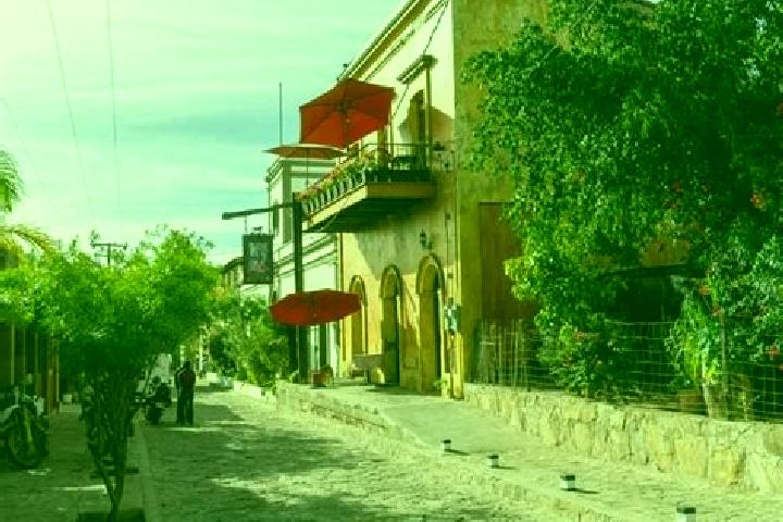 Alice, 38 — Escort in Azucena 3ra. Seccion (El Triunfo), Mexico