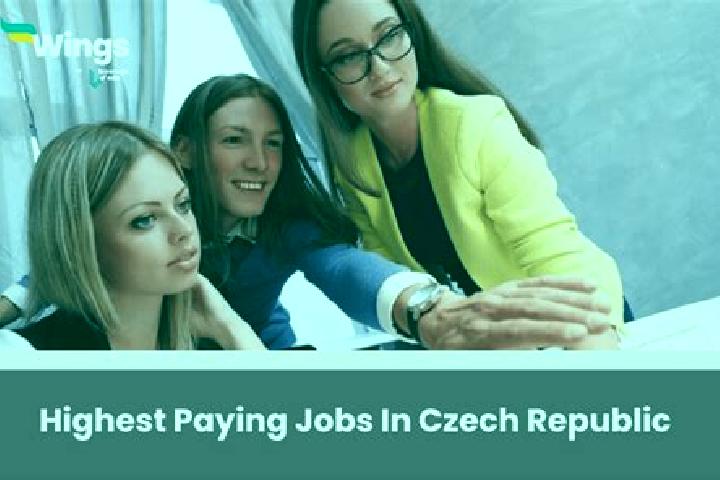 Alice, 38 — Escort in Blizejov, Czech Republic