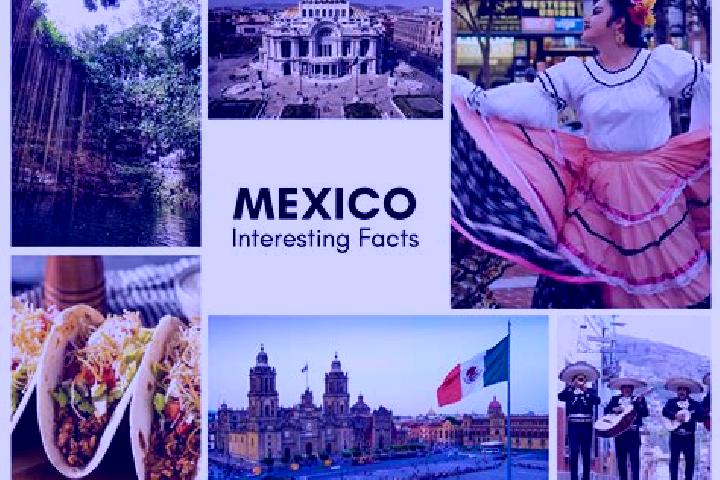 Alice, 38 — Escort in Etchohuaquila, Mexico