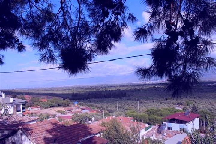 Alice, 38 — Escort in Kuecuekdere, Turkey