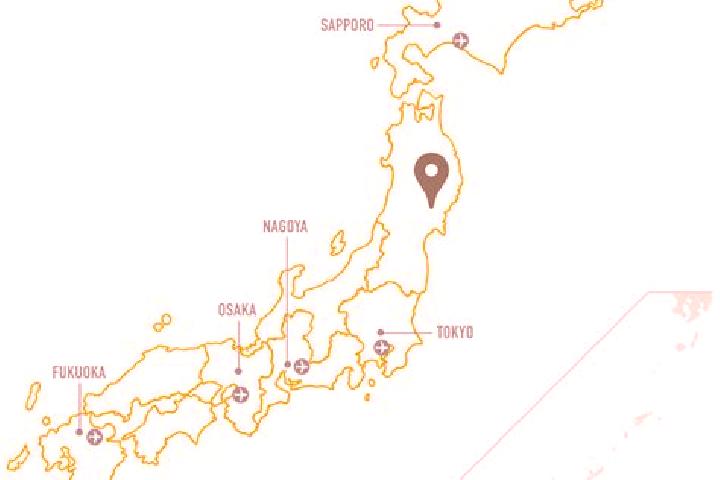 Alice, 38 — Escort in Oshu, Japan