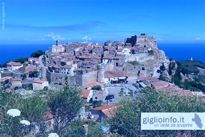 Alice, 39 — Escort in Giglio Castello, Italy