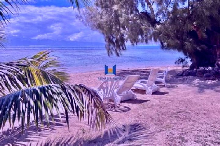 Amelia, 20 — Escort in Afareaitu, French Polynesia