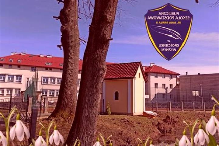 Amelia, 20 — Escort in Kroscienko Wyzne, Poland