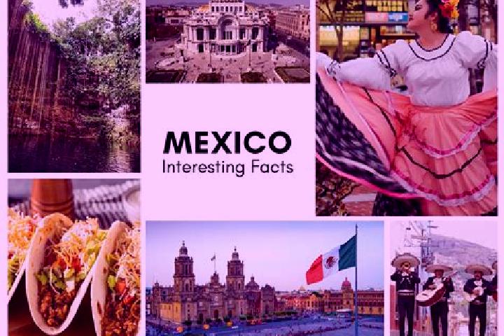 Amelia, 20 — Escort in Mina Mexico, Mexico