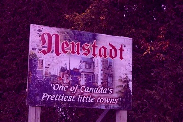 Amelia, 20 — Escort in Neustadt, Canada