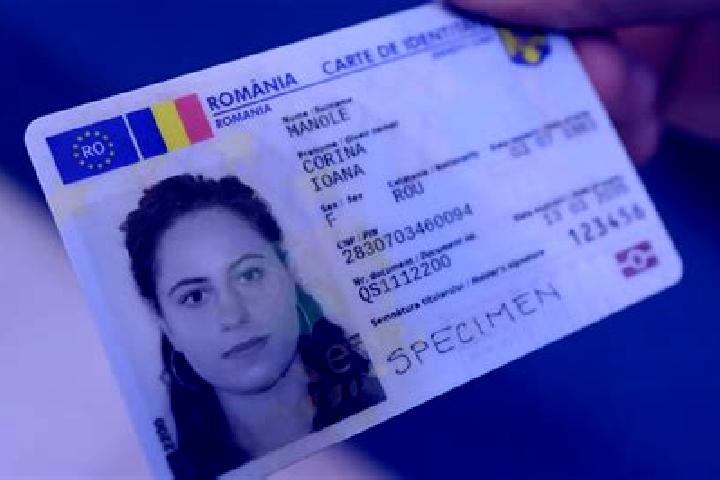 Amelia, 20 — Escort in Piscu Nou, Romania