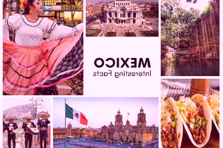 Amelia, 20 — Escort in Poxila, Mexico