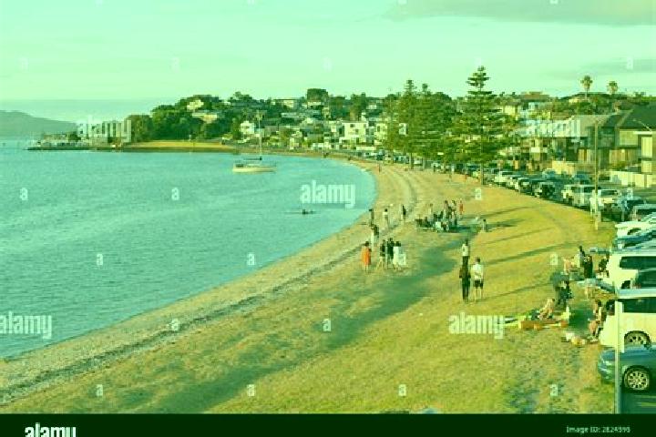 Amelia, 21 — Escort in Bucklands Beach, New Zealand