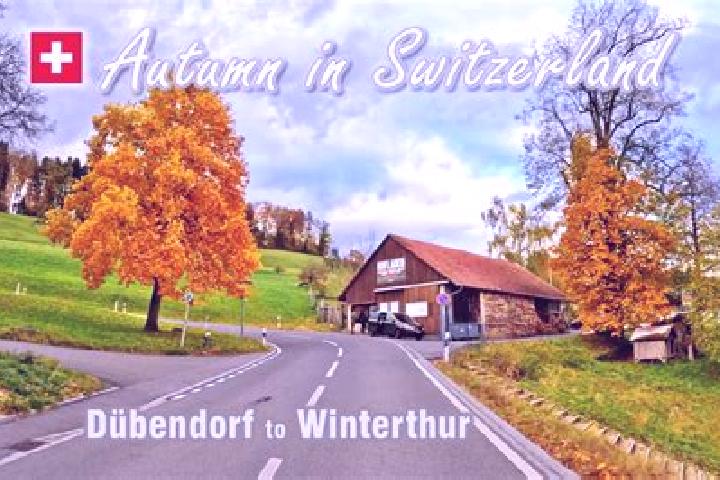 Amelia, 21 — Escort in Duebendorf / Heugatterstrasse, Switzerland