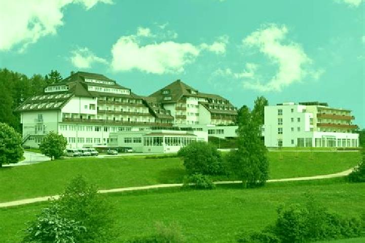 Amelia, 21 — Escort in Laab im Walde, Austria