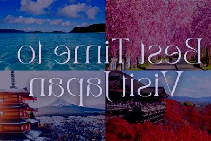 Amelia, 21 — Escort in Ninomiya, Japan