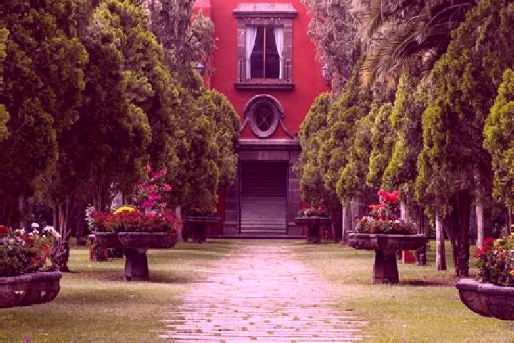 Amelia, 21 — Escort in Santa Cruz de Villa Gomez, Mexico