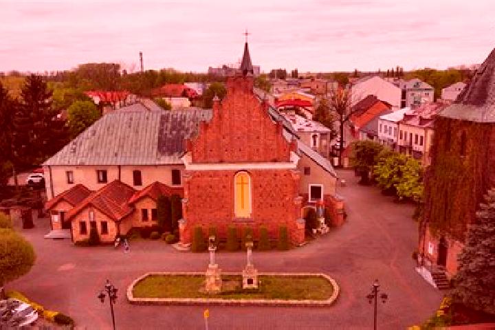 Amelia, 21 — Escort in Zacisze-Zalesie-Szczytniki, Poland