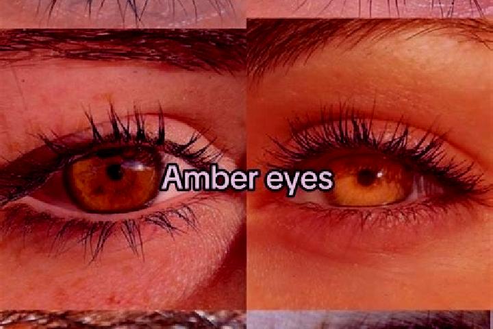 Amelia, 22, a chestnut amber-eyed ebony companion based in Semender. Offering Duos, Tantra, Overnight, Erotic Massage. Available for incall and outcall, over...