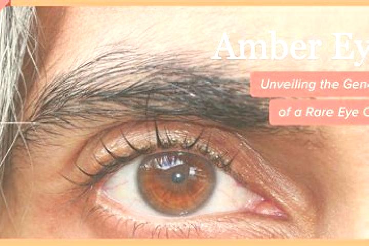 Amelia, 22, a red amber-eyed asian companion based in Dumfries A. Offering Overnight, Tantra, BDSM. Available for incall and outcall, day and evening dates.