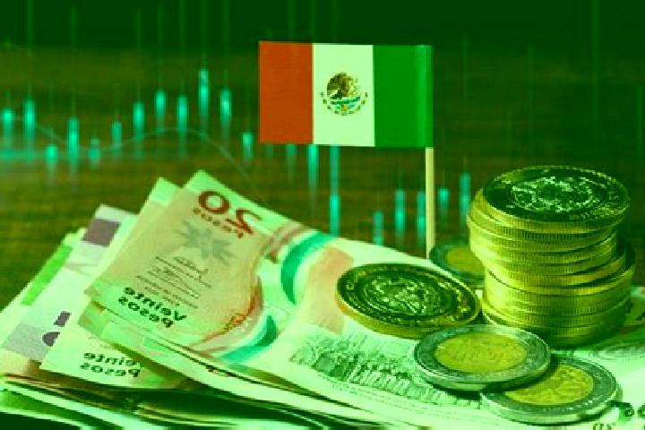Amelia, 22 — Escort in Economia, Mexico