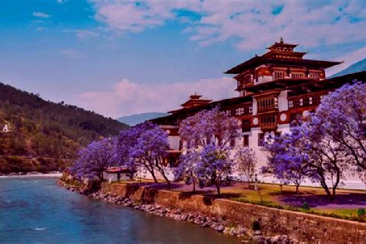 Amelia, 22 — Escort in Tsimasham, Bhutan