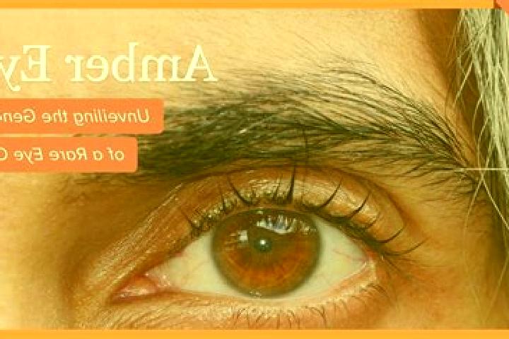 Amelia, 23, a black amber-eyed latina companion based in Catakkoeprue. Offering BDSM, Striptease, Deep French Kissing. Available for incall and outcall, day ...