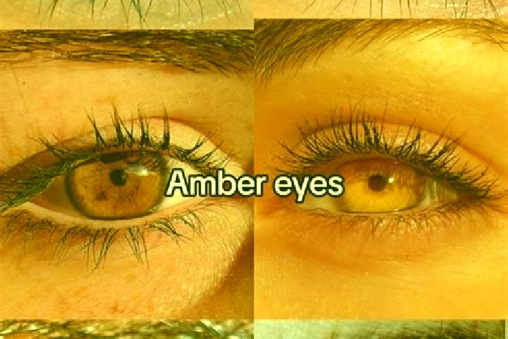 Amelia, 23, a chestnut amber-eyed mediterranean companion based in Eggstatt. Offering Duos, Massage, GFE, OWO. Available for incall and outcall, day and even...