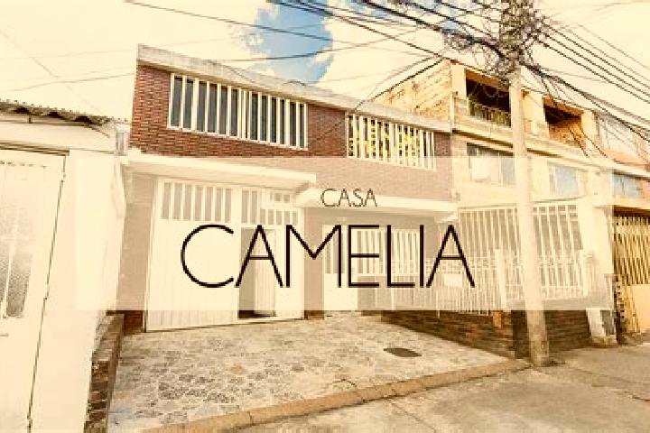Amelia, 23 — Escort in Camelia (Barrio la Camelia), Mexico