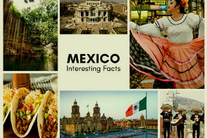 Amelia, 23 — Escort in Coatzonco, Mexico