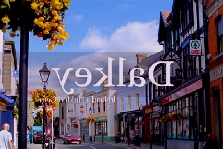 Amelia, 23 — Escort in Dalkey, Ireland