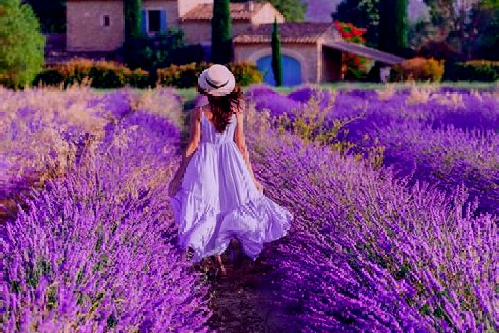 Amelia, 23 — Escort in Gropeni, Romania