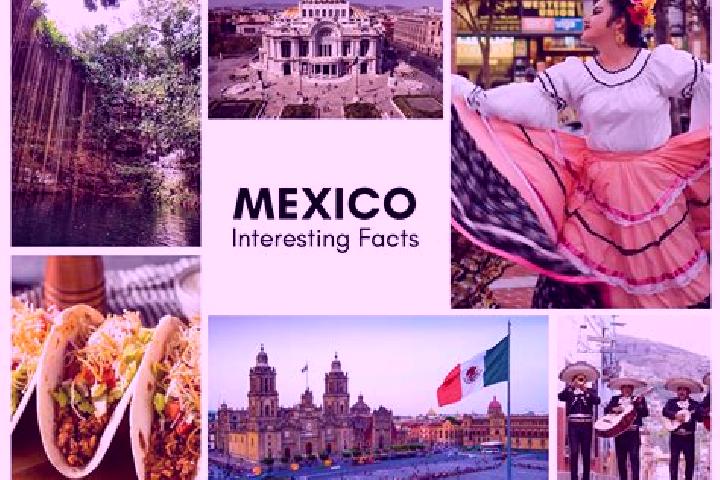 Amelia, 23 — Escort in Lepan, Mexico