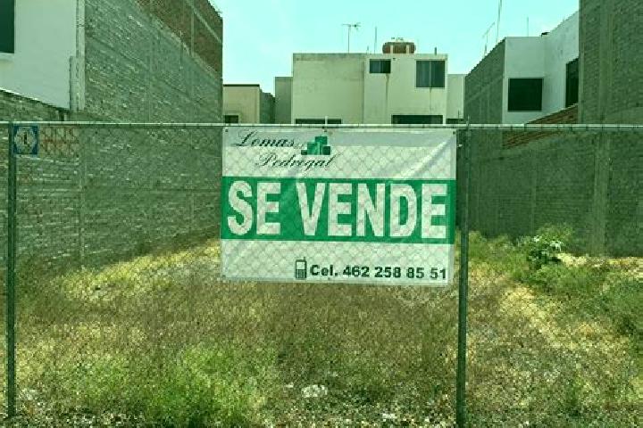 Amelia, 23 — Escort in Los Villarreales, Mexico