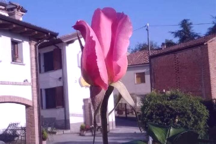 Amelia, 23 — Escort in Pietra de Giorgi, Italy