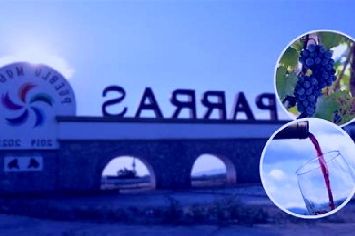 Amelia, 23 — Escort in Rio de Parras (Otzumatlan), Mexico