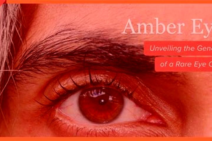 Amelia, 24, a black amber-eyed indian companion based in Helsinki. Offering CIM, Couples, A-Level, Overnight, BDSM. Available for incall and outcall, overnig...